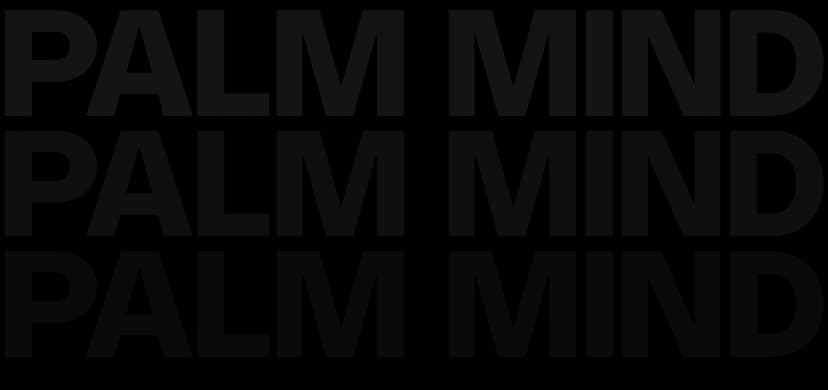 palmmind